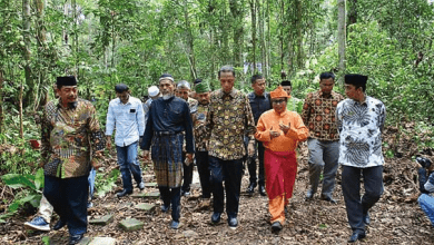 Photo of Jokowi Akan Serahkan SK Hutan Adat Untuk Dua Kenegerian Di Kabupaten Kampar