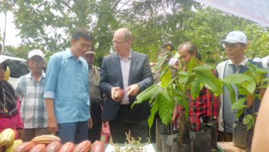 HKTI Dharmasraya Kembangkan Bibit Unggulan