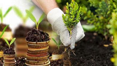 Ilustrasi - Benih Berkualitas Tentukan Hasil Panen.