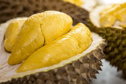 Ilustrasi durian (foto: DevianART)