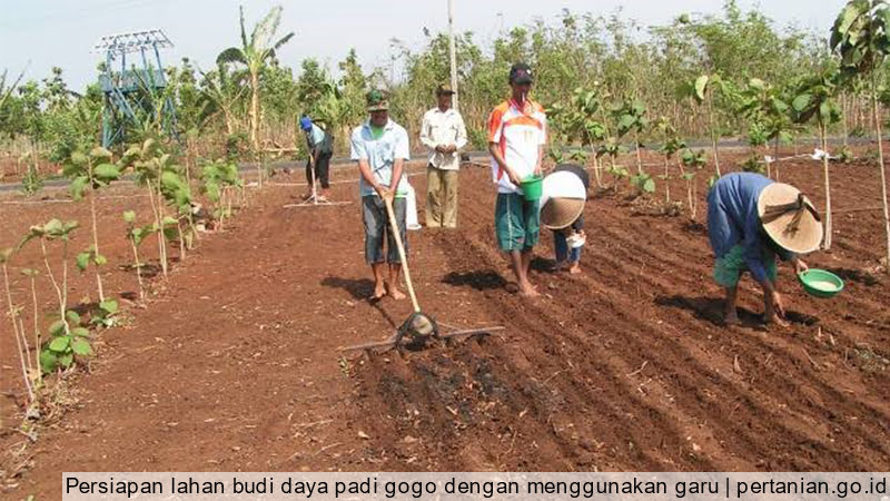 Bupati Kukar Minta Petani Lebih Bijak Kelola Lahan