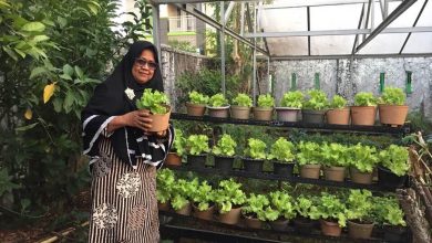 Kementan Apresiasi KWT Bentuk Pertanian Level Keluarga