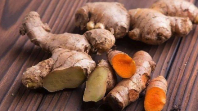 Kencur, Jahe, dan Kunyit, Apa Saja Manfaatnya