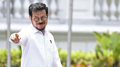 Mentan Ingatkan Petani Dapat Harga Layak Saat Panen Raya