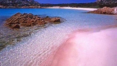 Pantai Pink, Sumber - forum.xcitefun.net