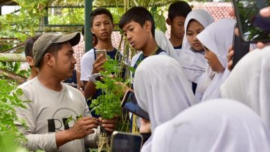 Program Pertanian Masuk Sekolah, Kementan Gait Milenial