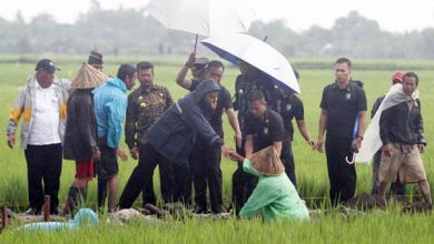 Realisasi Asuransi Usaha Tani