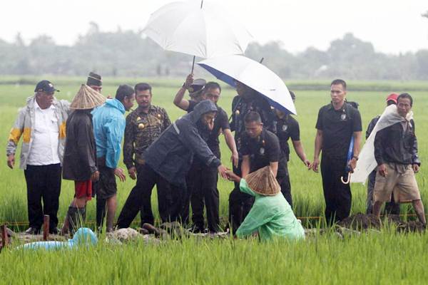 Realisasi Asuransi Usaha Tani