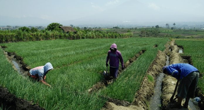 Tim Cepat Respon Opini Publik Untuk Memaksimalkan Pertanian Organik