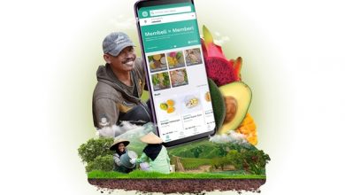 Work From Home, Saatnya Petani Pasarkan Komoditas Lewat Aplikasi