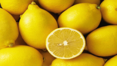 Manfaat Jeruk Lemon Ini Minim Orang Tahu, Terungkap Tips Rahasia Mengolahnya