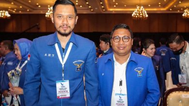 Jokowi Larang Mudik, Wasekjen Demokrat: Sudah Terlambat