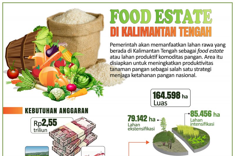 Kementan Dukung Usaha Food Estate Di Kalimantan Tengah – Bimata