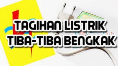 (Ilustrasi: Istimewa)