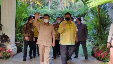 Airlangga Temui Prabowo Bahas Koalisi Di Pilkada Serentak