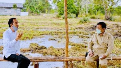 Sufmi Dasco: Tidak Ada Deal Penunjukan Prabowo Sebagai Ketua Program “Food Estate”