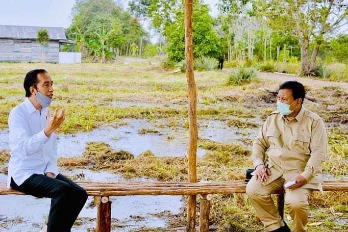 Sufmi Dasco: Tidak Ada Deal Penunjukan Prabowo Sebagai Ketua Program “Food Estate”