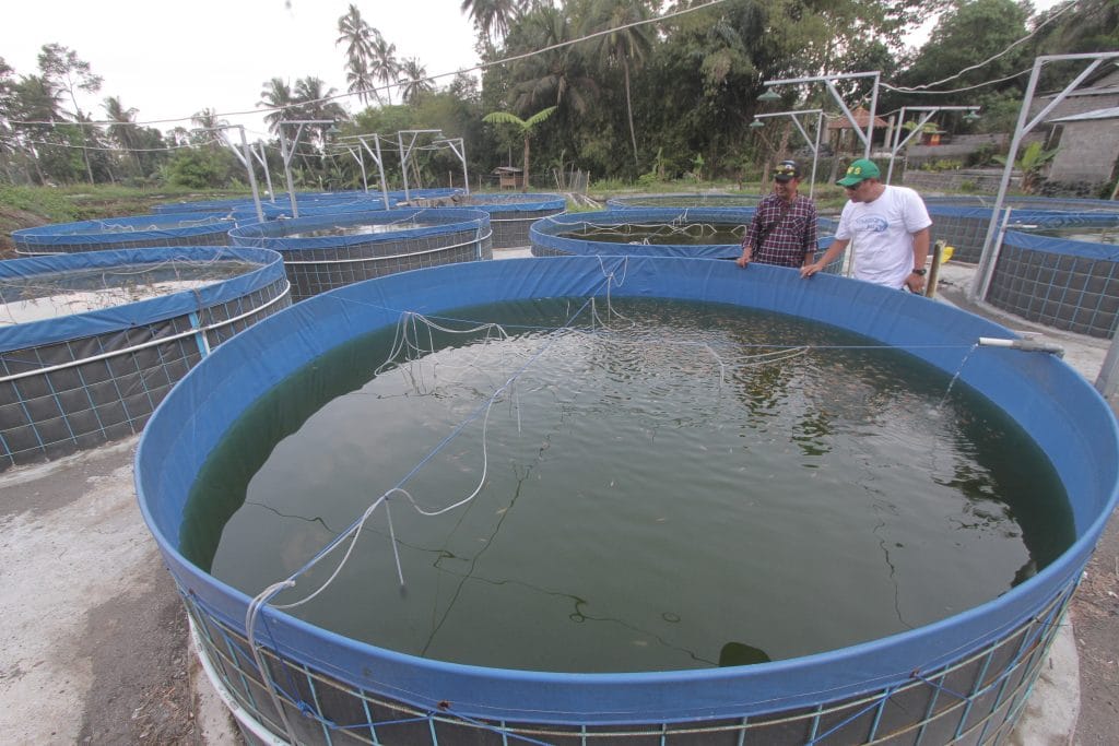 DWS Dengarkan Keluhan Peternak Ikan di Sleman