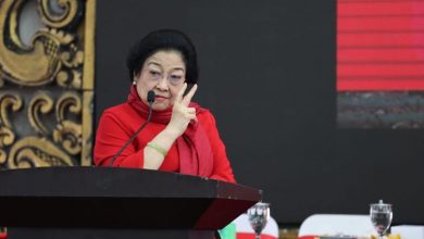 Megawati Sindir Akhyar Nasution Soal Rekomendasi