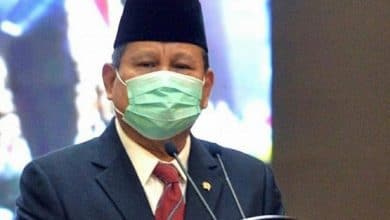Prabowo Tergetkan Lahan Penanaman Singkong Sebanyak 1,4 Juta Hektare