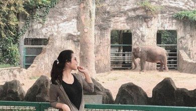Besok Taman Margasatwa Ragunan Mulai Dibuka Untuk Umum