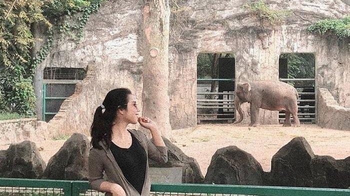 Besok Taman Margasatwa Ragunan Mulai Dibuka Untuk Umum