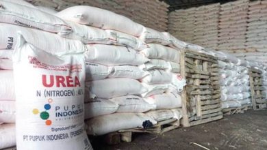 Gerindra Buka-Bukaan Soal Pupuk Subsidi Yang Langka