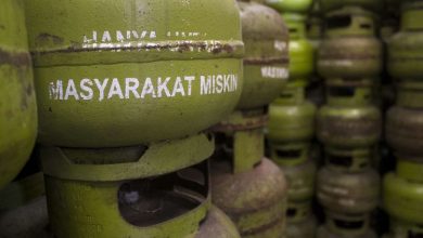 Pemerintah Rencanakan Tarif Listrik dan Elpiji Naik, Pengamat Bilang Ini Momentum Para Elit Parpol Bela Rakyat