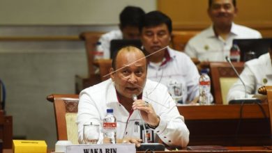 BIN Sebut Ada 3 Front Pendukung Referendum di Papua