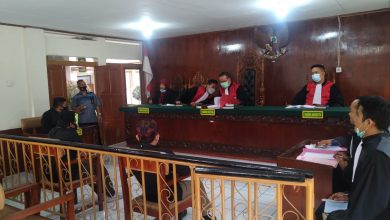 Saksi Tidak Hadir, Sidang Lanjutan Kasus ‘Illegal Logging’ Ditunda Minggu Depan