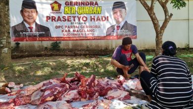 Prasetyo Hadi Salurkan Ribuan Paket Daging Kurban