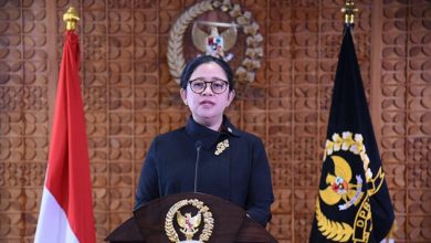 Puan Maharani Ingatkan Pemerintah Soal Penyajian Data Covid-19 Secara Terbuka