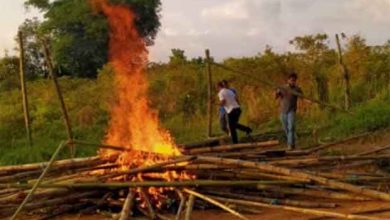 Polsek Towuti Bakar Arena Judi Sabung Ayam
