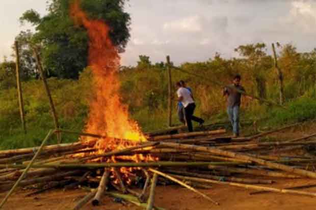 Polsek Towuti Bakar Arena Judi Sabung Ayam