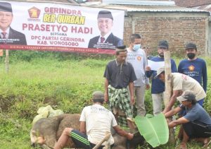 Prasetyo Hadi Salurkan Ribuan Paket Daging Kurban