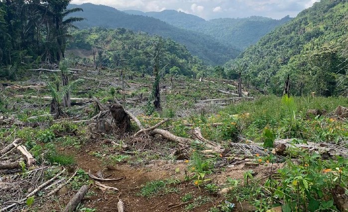 Anggota DPRD Soppeng Ditetapkan Sebagai Tersangka Kasus Pembalakan Hutan Lindung