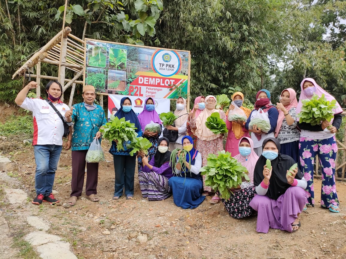 Darori Wonodipuro Salurkan Bantuan P2L ke 20 Kelompok PKK di Kebumen