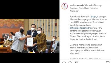 Gerindra Dorong Pemerintah Segera Ratifikasi Perjanjian ‘E-Commerce ASEAN’