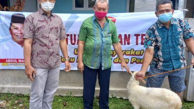 Abdul Wachid Serahkan Bantuan Ternak Kambing