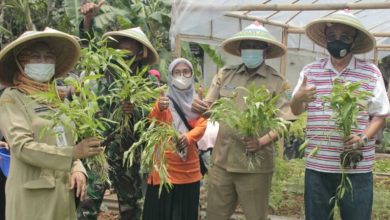 Darori Kunjungi P2L Jati Luhur Kebumen, Warga: Terima Kasih Pak