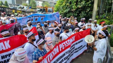 Gelar Aksi Damai, Peternak Telur Minta Harga Naik Rp 21.000 Per Kilogram