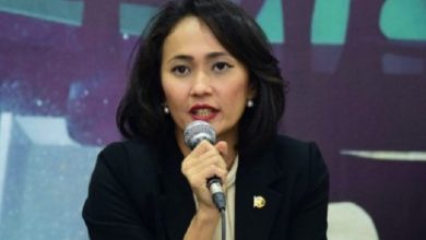 Baleg DPR Segera Revisi UU PPP