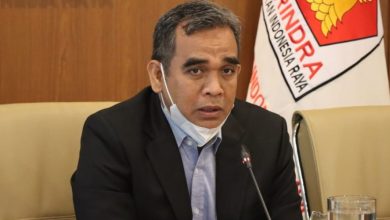 Muzani Sebut Tak Ada Larangan Menteri Tingkatkan Elektabilitas