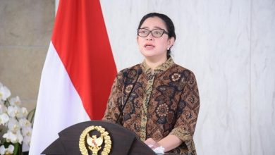 Puan Tegaskan RUU TPKS Jadi Pelindung Hak Perempuan