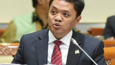 Habiburokhman Minta Kejagung Selidiki Tan Paulin si ‘Ratu Batu Bara’