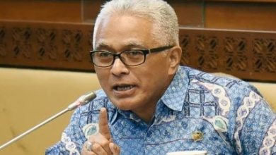 Presiden Jokowi Diminta Hati-hati Tunjuk Kepala Otorita IKN Nusantara