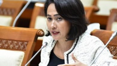 Christina Nilai Ratifikasi Perjanjian FIR dengan Singapura Melalui Perpres Kurang Tepat