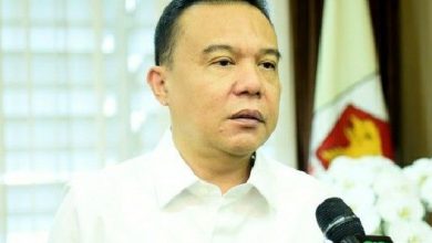 Dasco Sebut Gerindra Belum Resmi Usung Prabowo Subianto di Pilpres 2024