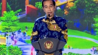 Presiden Jokowi Beri Sinyal Kepala Otorita IKN Nusantara dari Kalangan Nonparpol
