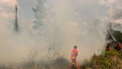 Photo of BPBA Menyatakan Terjadi Kebakaran Lahan Gambut di Nagan Raya Aceh